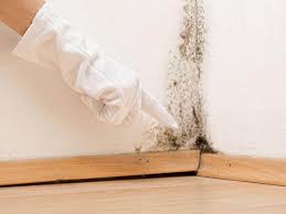 Best Attic Mold Removal  in Westfield, PA